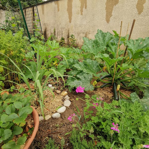 2022_06_potager